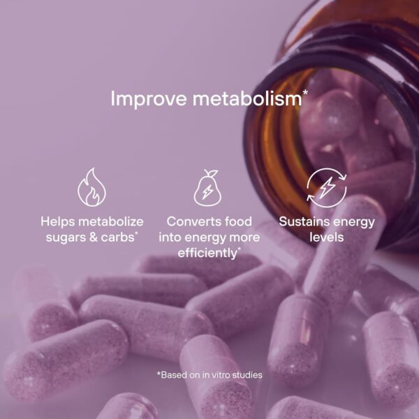 Pendulum Metabolic Daily - Multi-Strain Probiotic with Akkermansia Muciniphila to Support Metabolism
