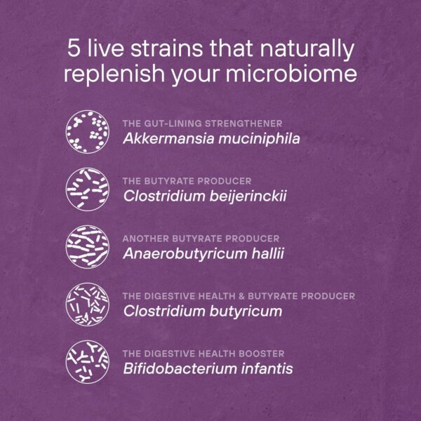 Pendulum Metabolic Daily - Multi-Strain Probiotic with Akkermansia Muciniphila to Support Metabolism