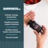 Ancient Nutrition Multivitamin for Women, Vitamin A, K, D, C, B12, Zinc, Magnesium, Chromium